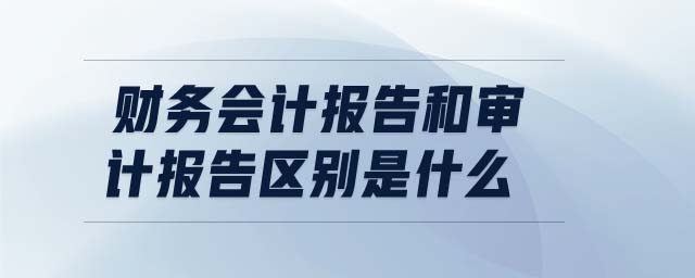 財務會計報告和審計報告區別是什么