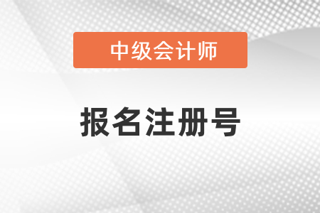 中級會計(jì)報(bào)名注冊號不存在怎么辦？