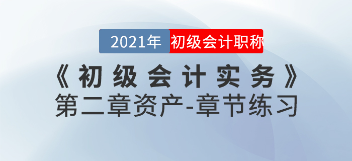 2021年《初級會計(jì)實(shí)務(wù)》第二章資產(chǎn)-章節(jié)練習(xí)