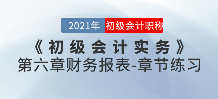 2021年《初級會計實務》第六章財務報表-章節練習