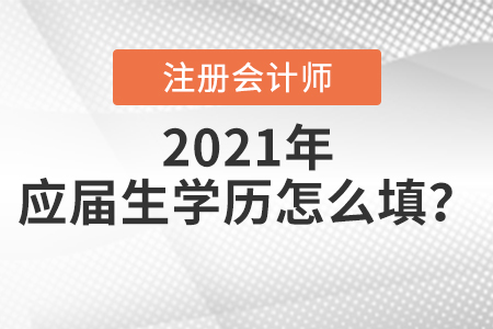 注會報名應屆生學歷怎么填