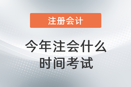 今年注會什么時間考試