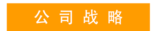 公司戰略