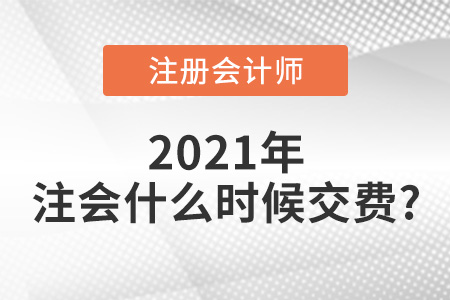 注會什么時候交費