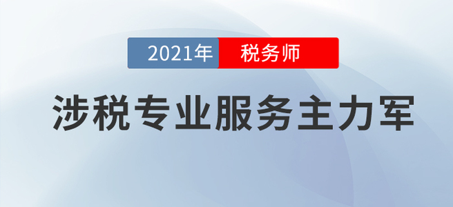 視頻 | 《稅務(wù)師是涉稅專業(yè)服務(wù)主力軍》