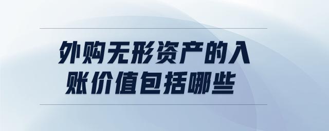 外購無形資產的入賬價值包括哪些