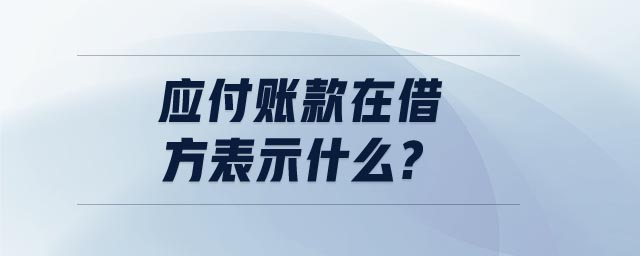 應付賬款在借方表示什么