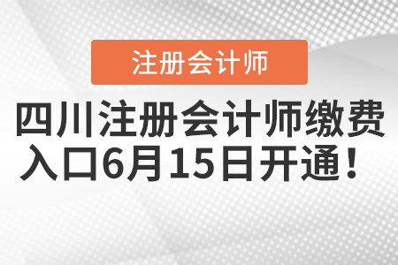四川注冊會計師繳費入口6月15日開通！