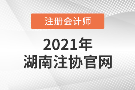 湖南注冊(cè)會(huì)計(jì)師協(xié)會(huì)官網(wǎng)
