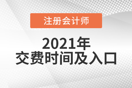 2021年注冊會計師考試?yán)U費時間及入口