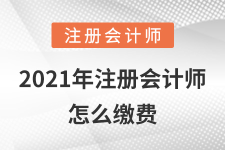 2021年注冊會計師怎么繳費