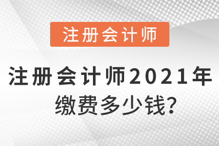 注冊會計師2021年繳費多少錢？