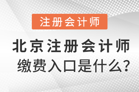 北京市豐臺區(qū)注冊會計師繳費(fèi)入口是什么？