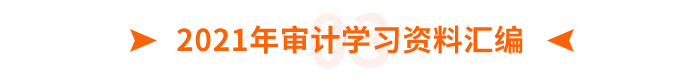 2021年審計學習資料匯編