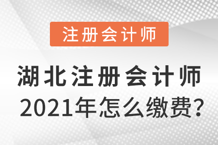 湖北2021年注冊會計師怎么繳費？