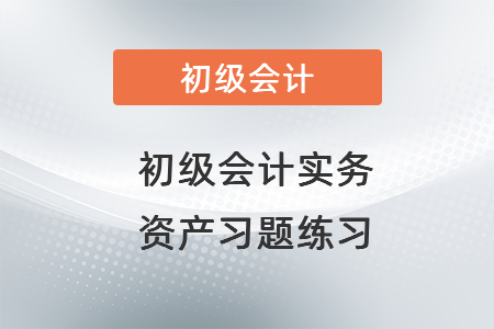 初級會計實務資產習題練習