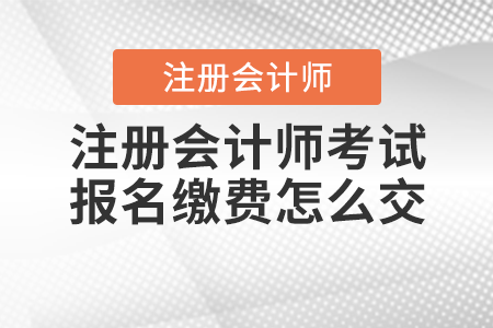 注冊會計師考試報名繳費怎么交
