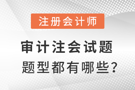 審計注會試題題型都有哪些？