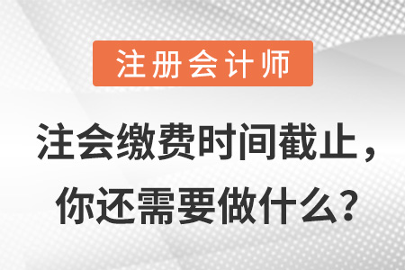 注會繳費時間截止，你還需要做什么？