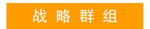 戰略群組 (2)