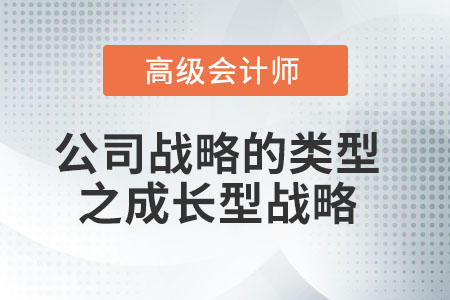 公司戰略的類型之成長型戰略