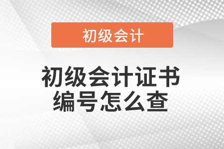 初級會計證書編號怎么查
