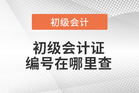 初級會計證編號在哪里查