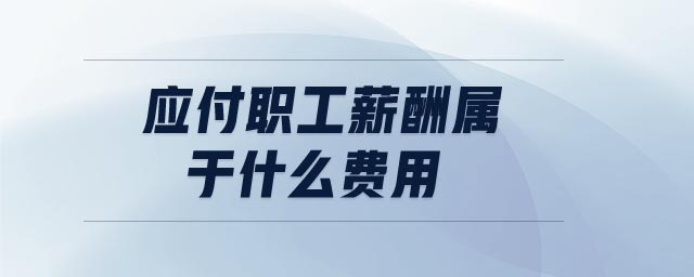 應付職工薪酬屬于什么費用