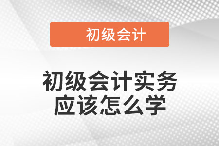 初級會計實務(wù)應(yīng)該怎么學？