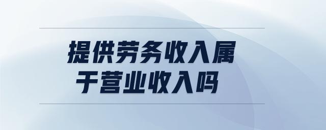 提供勞務收入屬于營業收入嗎
