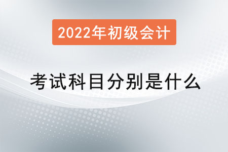 初級會計(jì)師考試科目分別是什么