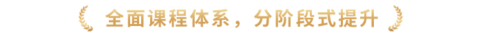 全面課程體系，分階段式提升
