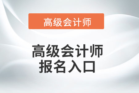 高級(jí)會(huì)計(jì)師考試報(bào)名入口只有一個(gè)嗎？
