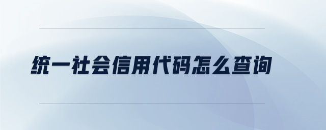 統一社會信用代碼怎么查詢