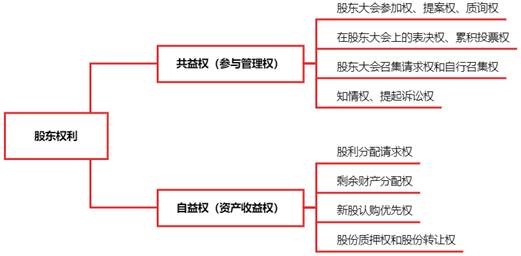 股東權利