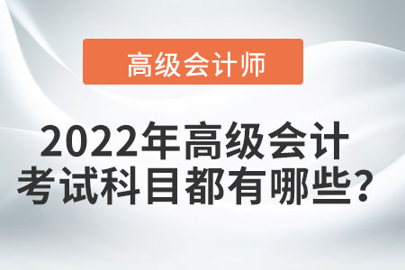 《高級(jí)會(huì)計(jì)實(shí)務(wù)》都考些什么？