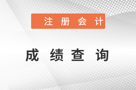 注冊會計成績查詢