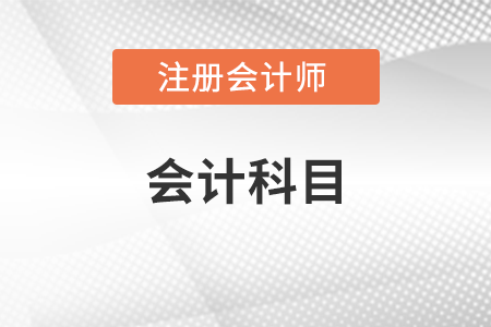 注冊會計師會計要考分錄嗎？