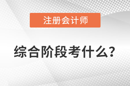 注會綜合階段考試考什么？