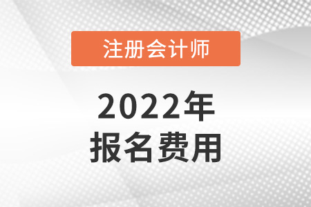 2022注冊會(huì)計(jì)師繳費(fèi)時(shí)間是哪天？