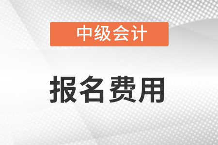 中級(jí)會(huì)計(jì)職稱報(bào)名費(fèi)用是多少
