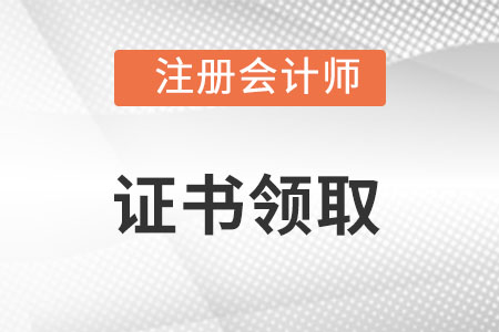 注冊會計師
