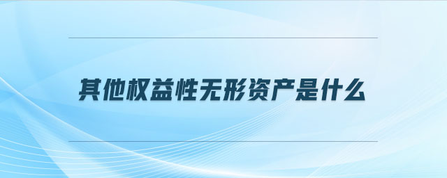 其他權(quán)益性無形資產(chǎn)是什么