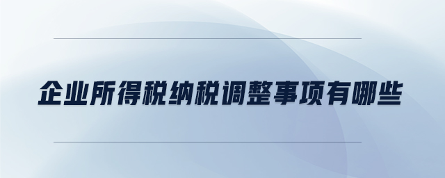 企業所得稅納稅調整事項有哪些