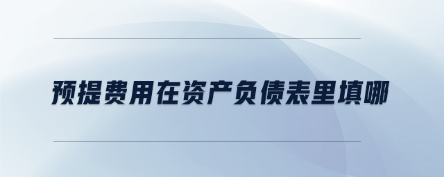 預提費用在資產負債表里填哪