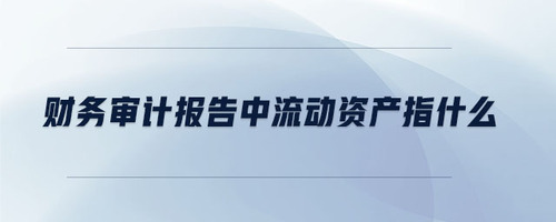 財務審計報告中流動資產指什么