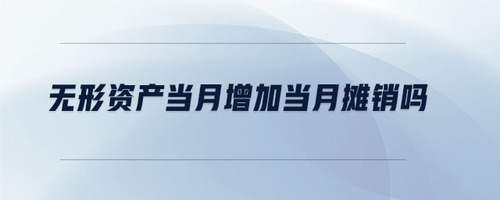 無形資產當月增加當月攤銷嗎