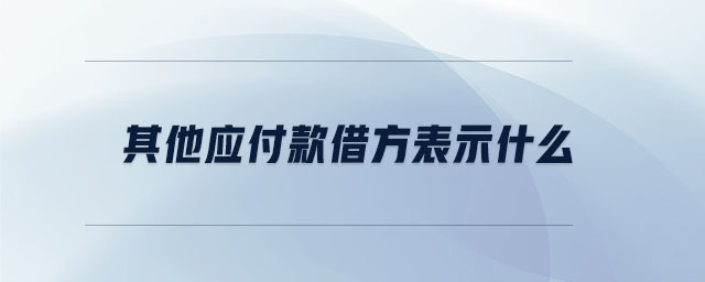其他應付款借方表示什么