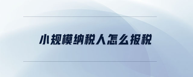 小規模納稅人怎么報稅