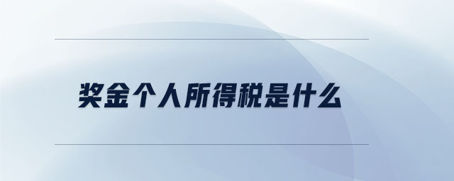 獎金個人所得稅是什么